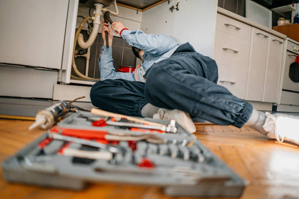 Best Local Plumber Services  in Pisgah, AL