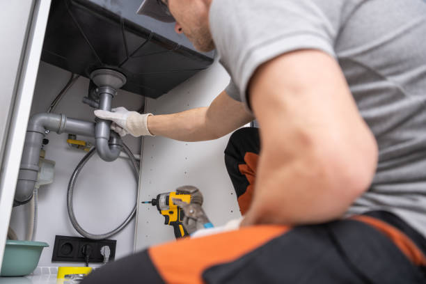 Best Water Softener Installation  in Pisgah, AL